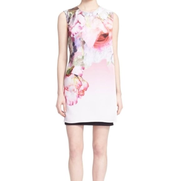 🌸6x HP🌸 NWT Ted Baker London Milisa Floral Dress - Picture 2 of 16